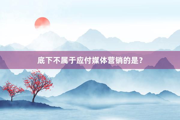 底下不属于应付媒体营销的是？